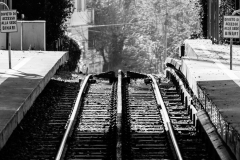 201603 - RAPETTO_Nicola