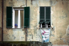 1_BOSTICA_Bruno