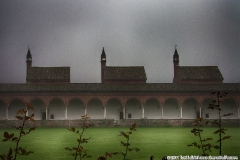 MOSSO_Silvia (1)