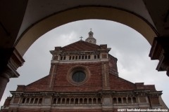 NOVARESE_Walter (5)
