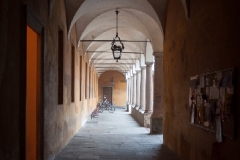 NOVARESE_Walter (7)