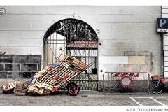 PERTUSIO_Enzo (8)