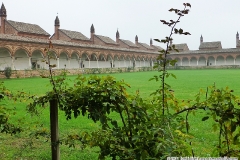 PIERRI_Glauco (5)