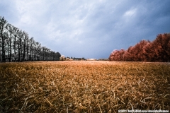 VILLA_Riccardo (11)