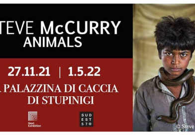 Visita guidata alla mostra “Animals – S. McCurry”