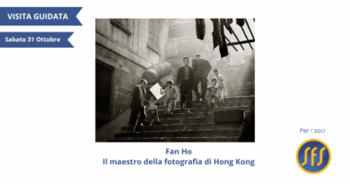 locandina mostra fan ho